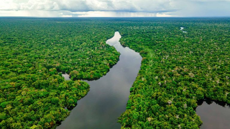 Imagem aérea de área de garimpo ilegal na floresta amazônica, mostrando desmatamento e maquinário.
